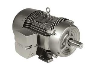 Siemens 1LE22211AA314AA3 Motor