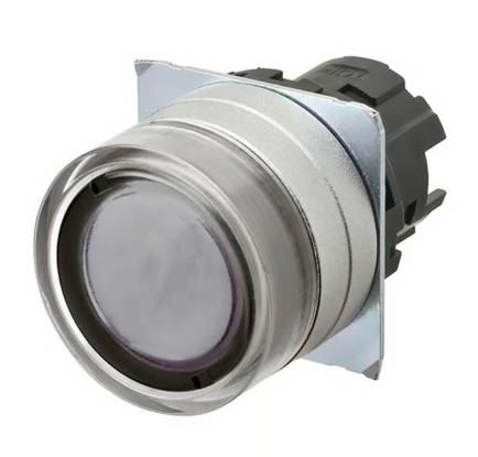 OMRON A22NZ-MGM-TWA Device