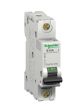 Schneider Electric MG24425 Protector