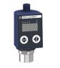 Telemecanique XMLR2D5G1P25 Device