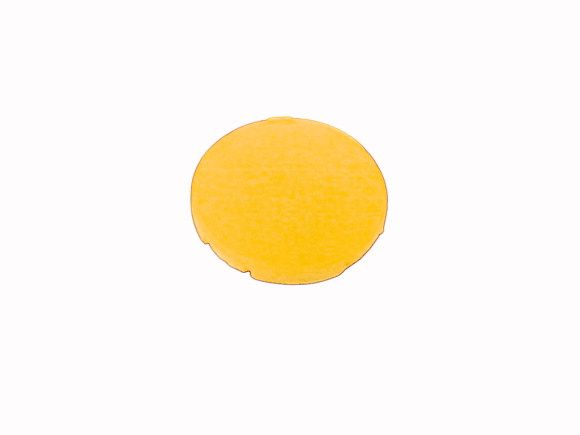 Moeller 216425 Plate