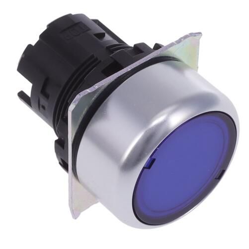 OMRON A22NZRNATAA Button