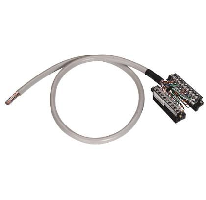 Allen Bradley 1492-CAB010RTN32O Device