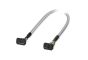 Phoenix Contact 2305965 Cable