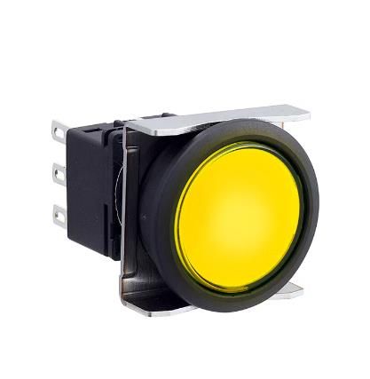 IDEC LBW6L-M1T24Y Device