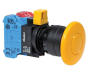 IDEC HW1B-A4F22-Y Device