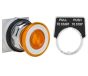 Schneider Electric 9001KR9A Button