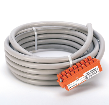 Allen Bradley 1492-CABLE050RTBO Device