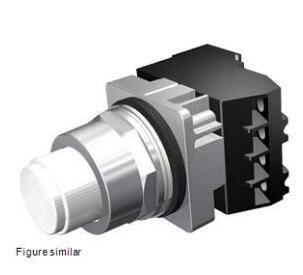 Siemens 52PT6DBA Switch