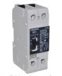 Siemens NGG2B060L Breaker