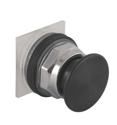 Schneider Electric 9001KR9BM94 Button