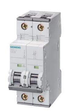 Siemens 5SY42058 Breaker