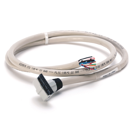 Allen Bradley 1492-CABLE010P Device