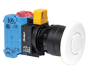 IDEC HW1B-M4F22-W Device