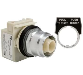 Schneider Electric 9001KR8P1 Button