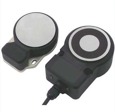 OMRON D40MLP1B10M Magnetic Lock