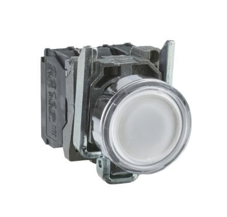 Schneider Electric XB4BW11B5 Device