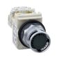 Schneider Electric 9001K3L35GH13 Button