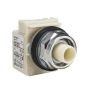 Schneider Electric 9001KR9P1 Button