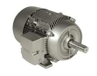 Siemens 1LE21211AB314AA3 Motor