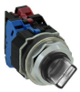 IDEC ASLD221120DNUW Device