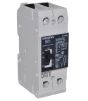 Siemens NGG2B100L Breaker