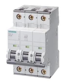 Siemens 5SY43256 Breaker