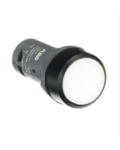 ABB CP1-10W-11 Switches