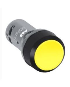 ABB CP2-10Y-11 Device