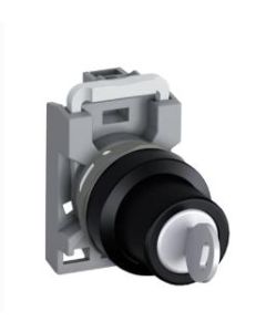 ABB M2SSK1-40110 Switches