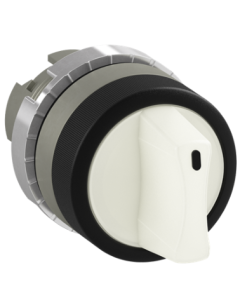 ABB P9MSLZ0B Switches