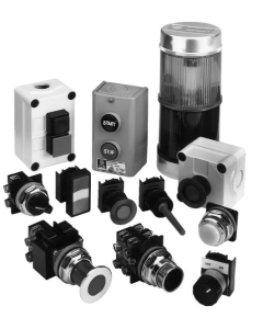 ABB P9PTMVW Switches