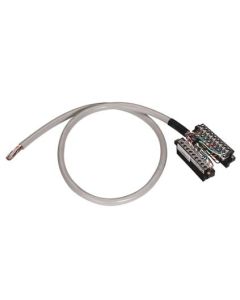 Allen Bradley 1492-CAB010RTN32I Device