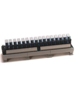 Allen Bradley 1492-XIM2024-16RF Device