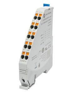 Allen Bradley 1694-DM2L2 Device