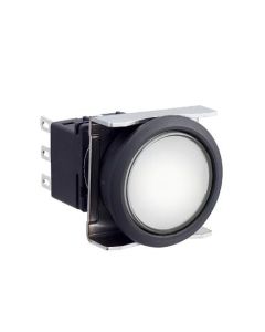 IDEC LBW6L-A1T54PW Device