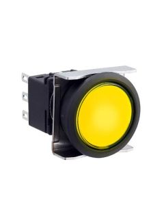 IDEC LBW6L-M1T24VY Device