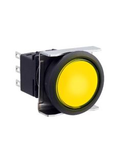 IDEC LBW6L-M1T54Y Device