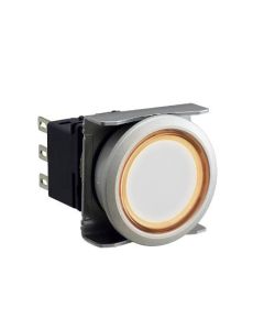 IDEC LBW6ML-M1RT13VWG Device