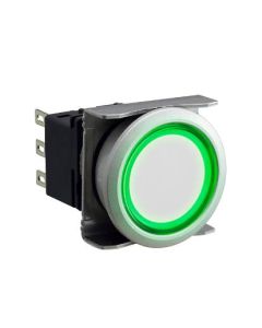 IDEC LBW6ML-M1RT24WG Device