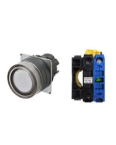OMRON A22NL-BGA-TWA-G100-WD Device