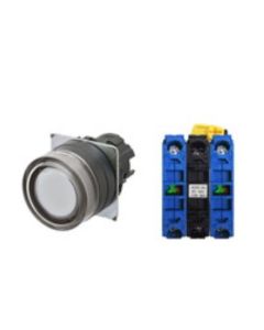 OMRON A22NL-BGA-TWA-G101-WC Device