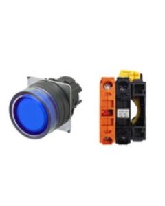 OMRON A22NL-BGM-TAA-G002-AC Device