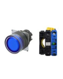 OMRON A22NL-BGM-TAA-G100-AC Device