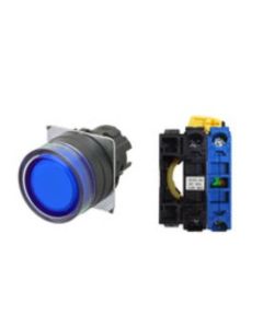OMRON A22NL-BGM-TAA-G100-AD Device