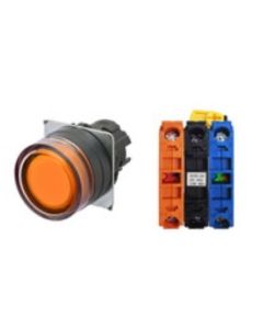 OMRON A22NL-BGM-TOA-G102-OB Device