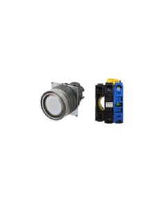 OMRON A22NL-BGM-TWA-G100-WC Device