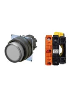 OMRON A22NL-BPA-TWA-G002-WB Device