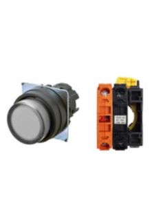 OMRON A22NL-BPA-TWA-G002-WD Device