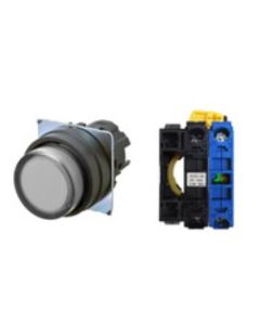 OMRON A22NL-BPA-TWA-G100-WA Device